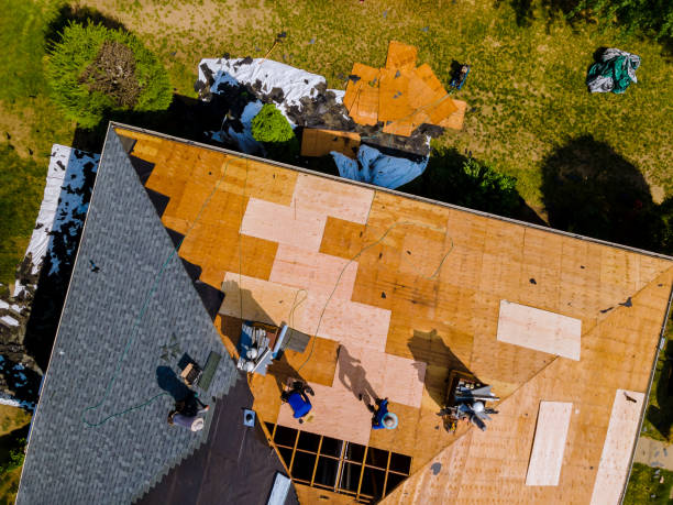 Best Storm Damage Roof Repair  in Whiteville, NC